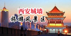 淫女影院中国陕西-西安城墙旅游风景区